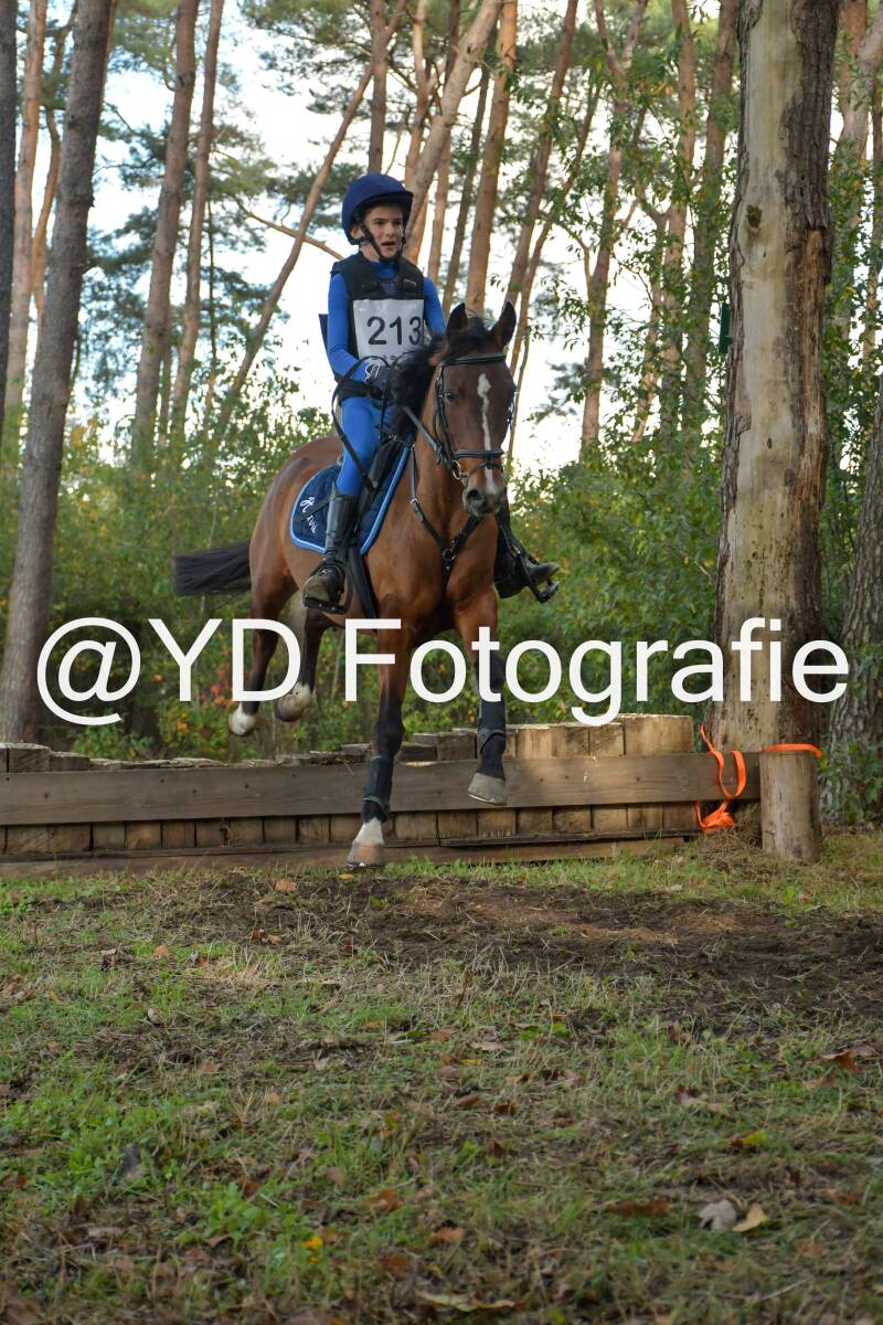 eventing-grobbendonk-4512-standard.jpg