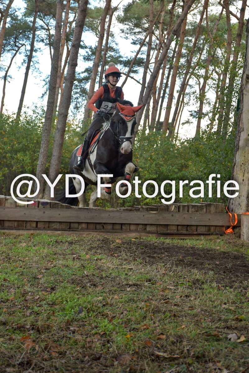 eventing-grobbendonk-4513-standard.jpg