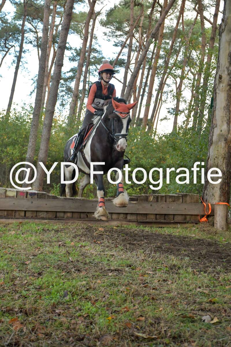 eventing-grobbendonk-4514-standard.jpg