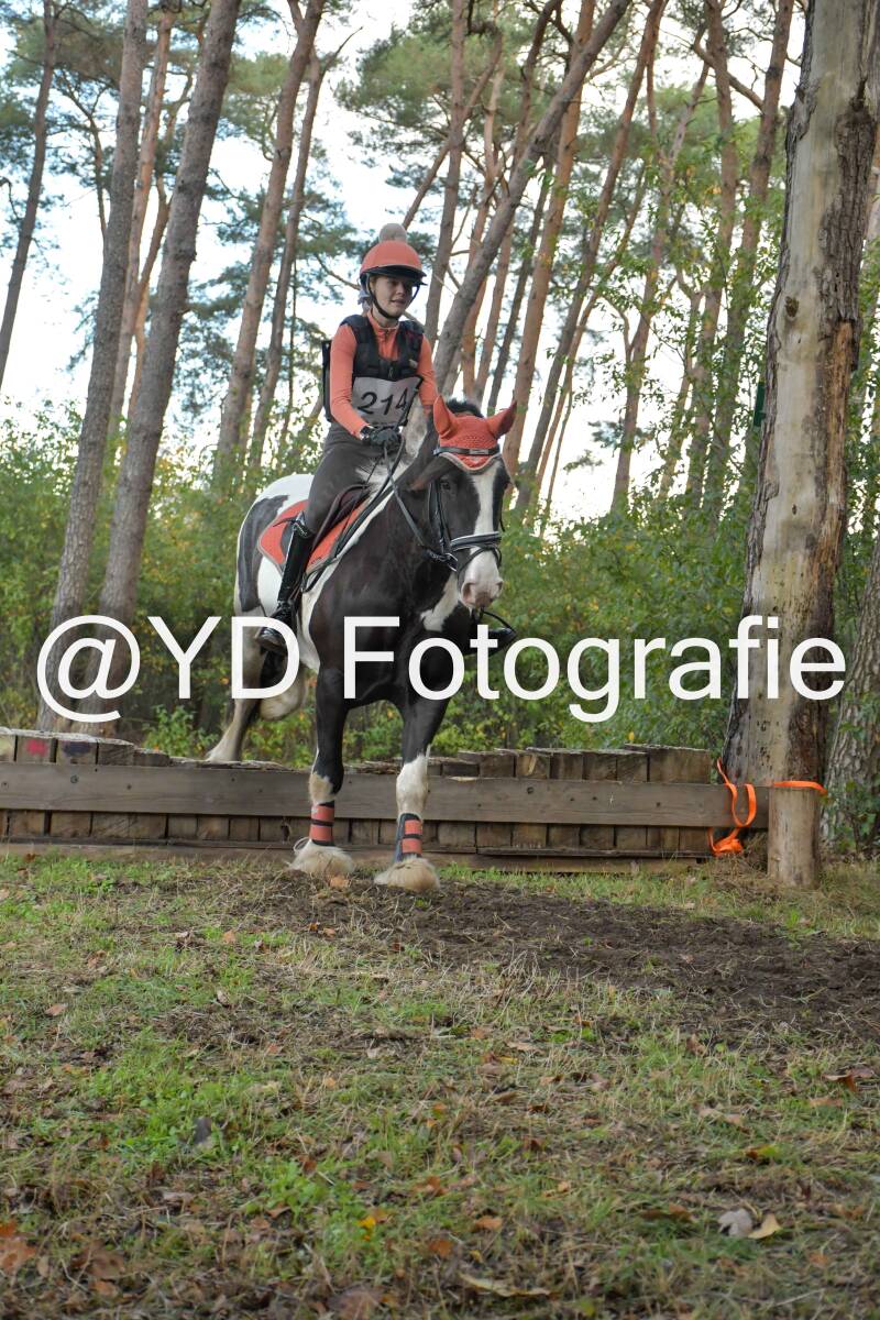 eventing-grobbendonk-4515-standard.jpg