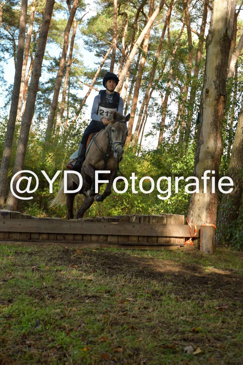 eventing-grobbendonk-4516-standard.jpg