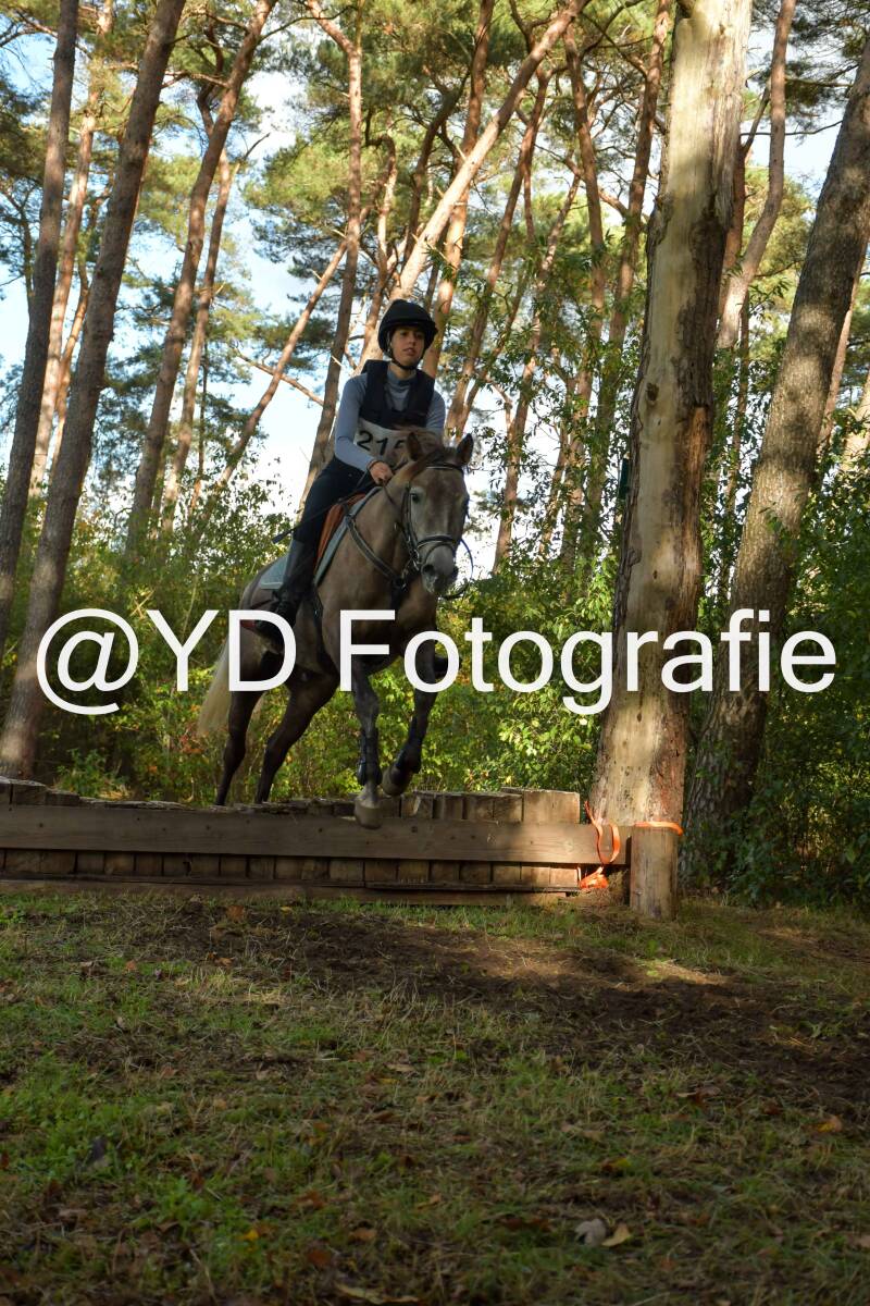 eventing-grobbendonk-4517-standard.jpg