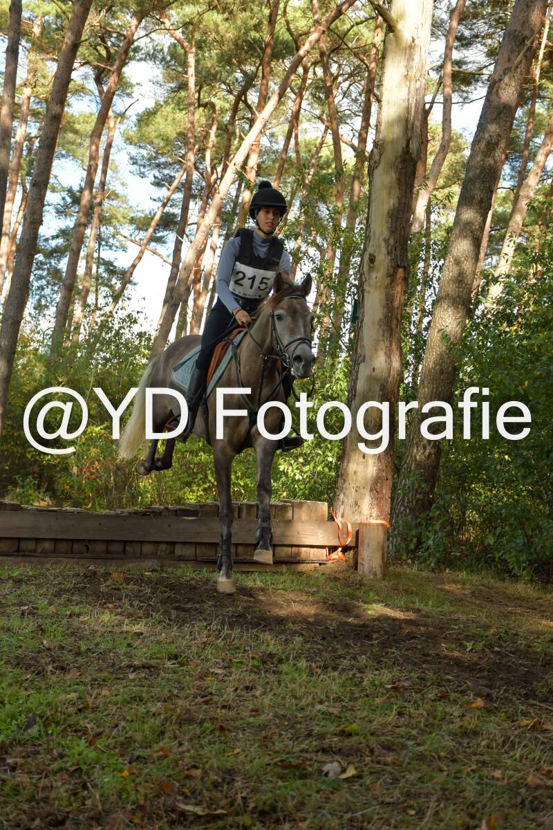eventing-grobbendonk-4518-standard.jpg