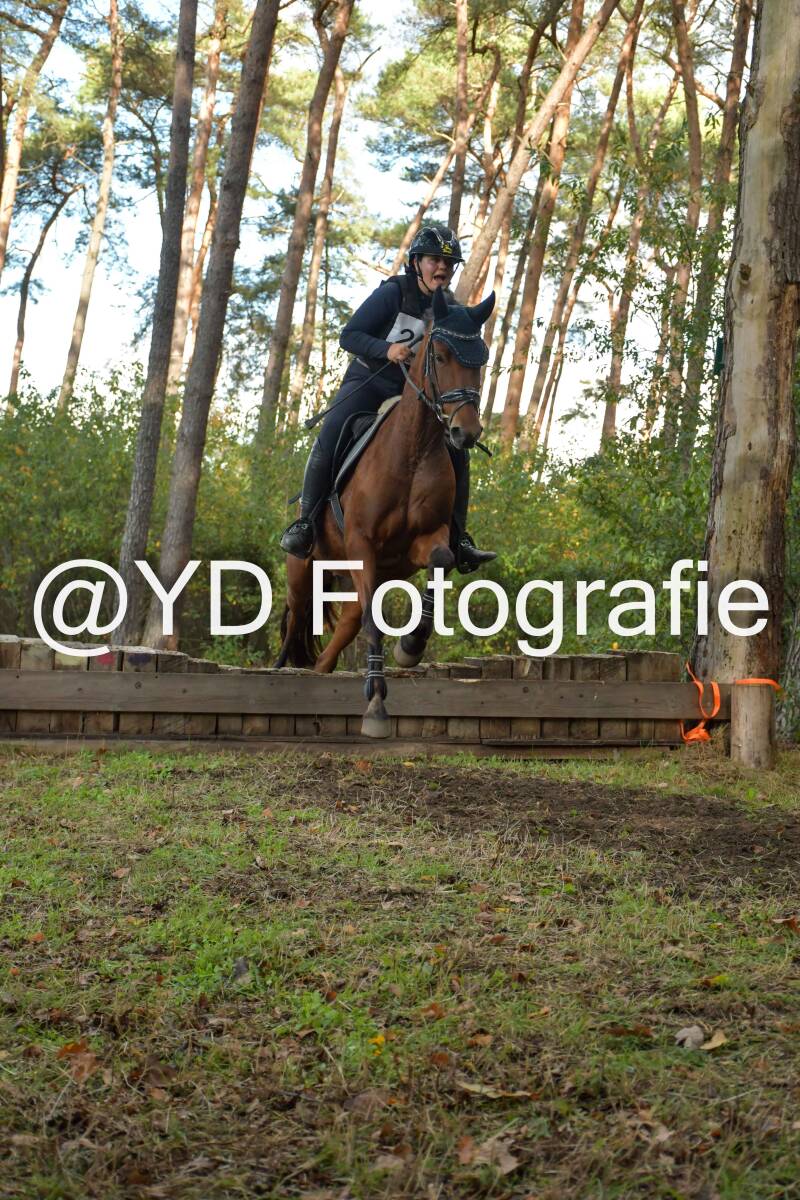 eventing-grobbendonk-4519-standard.jpg
