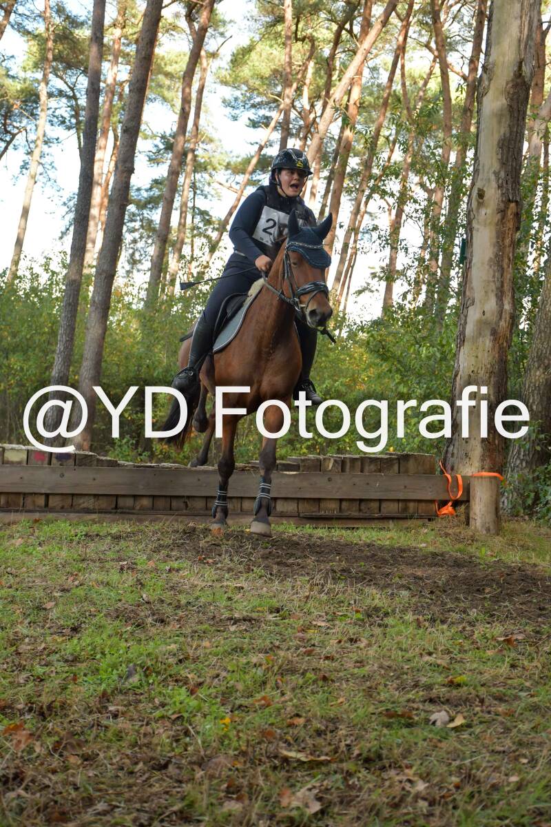 eventing-grobbendonk-4520-standard.jpg