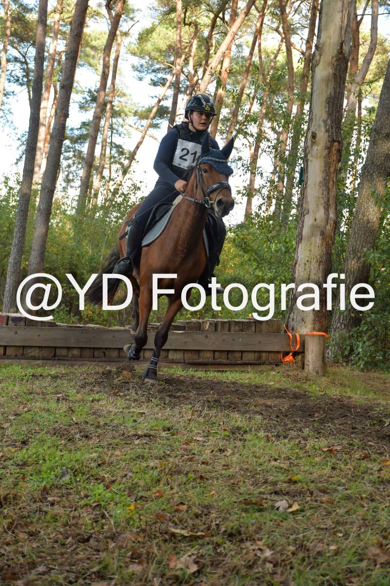 eventing-grobbendonk-4521-standard.jpg