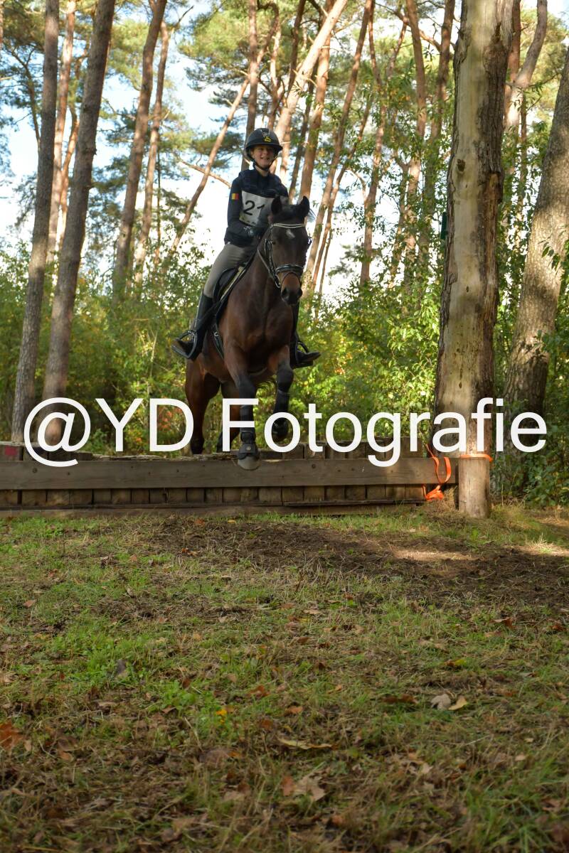 eventing-grobbendonk-4522-standard.jpg