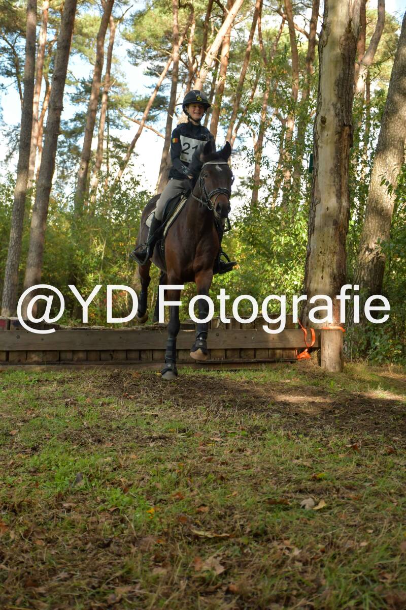eventing-grobbendonk-4523-standard.jpg