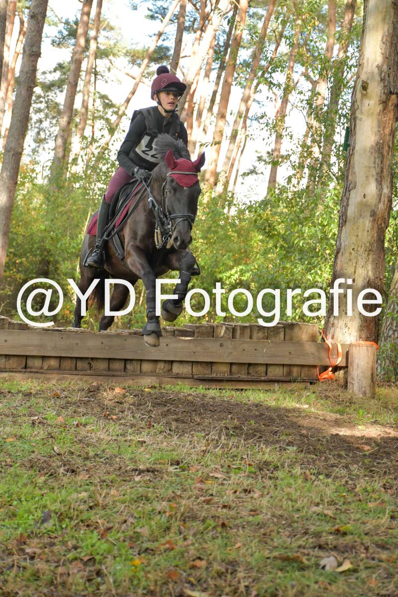 eventing-grobbendonk-4525-standard.jpg