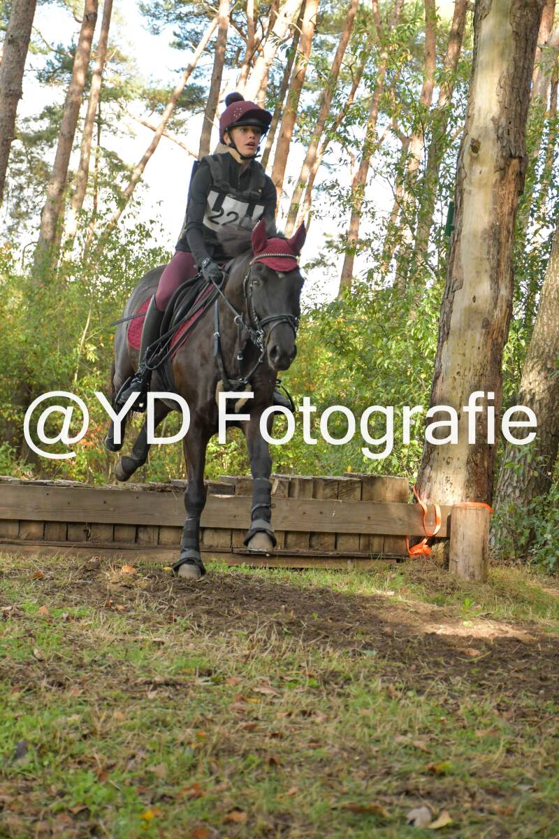 eventing-grobbendonk-4526-standard.jpg