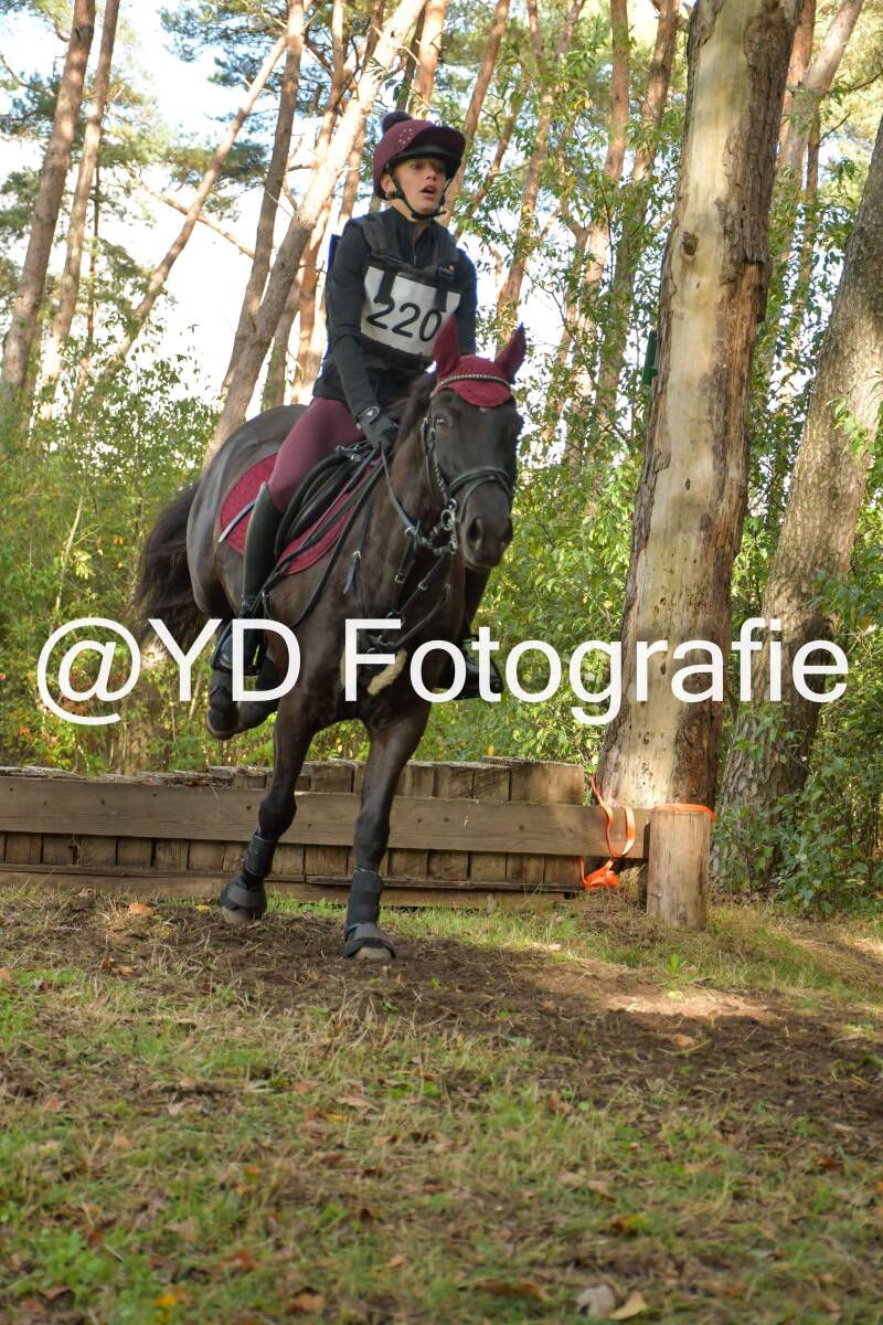 eventing-grobbendonk-4527-standard.jpg