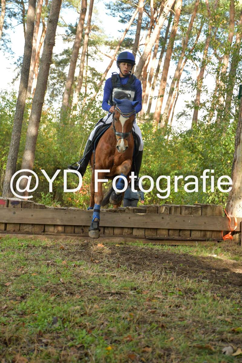 eventing-grobbendonk-4528-standard.jpg