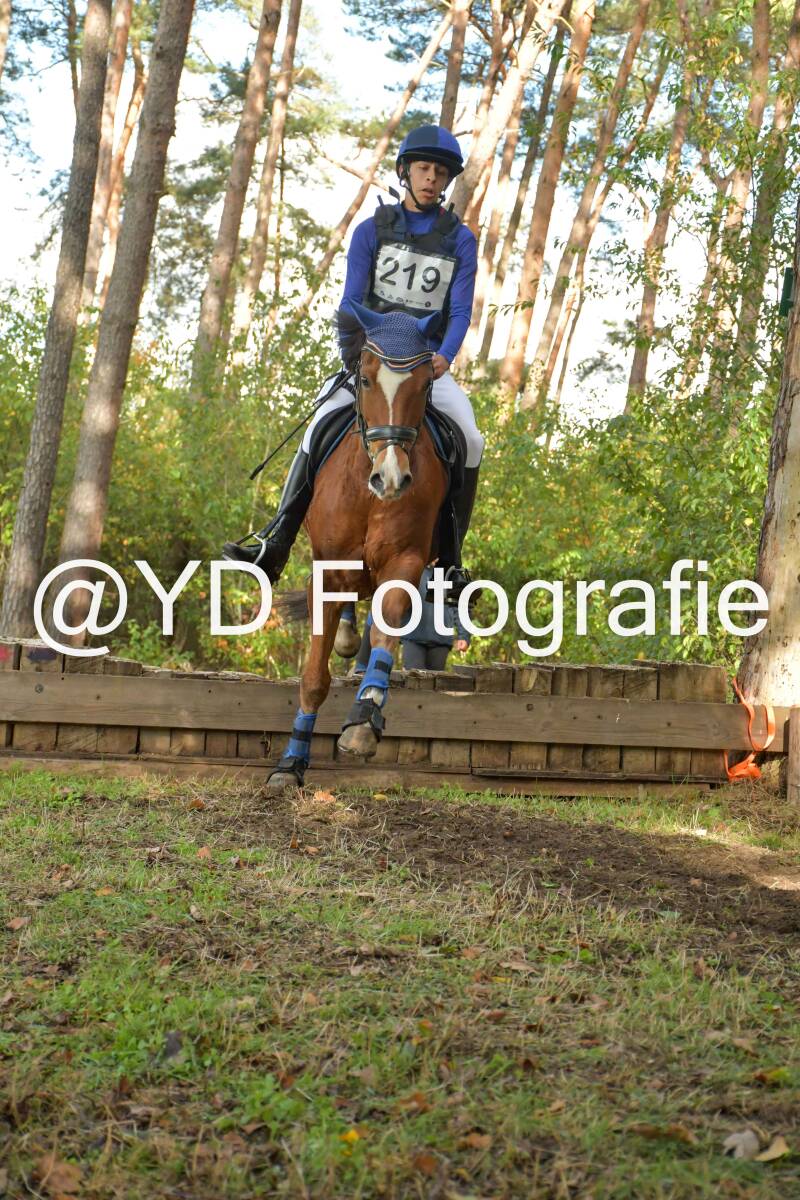 eventing-grobbendonk-4529-standard.jpg