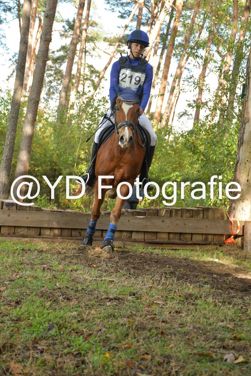 eventing-grobbendonk-4530-standard.jpg