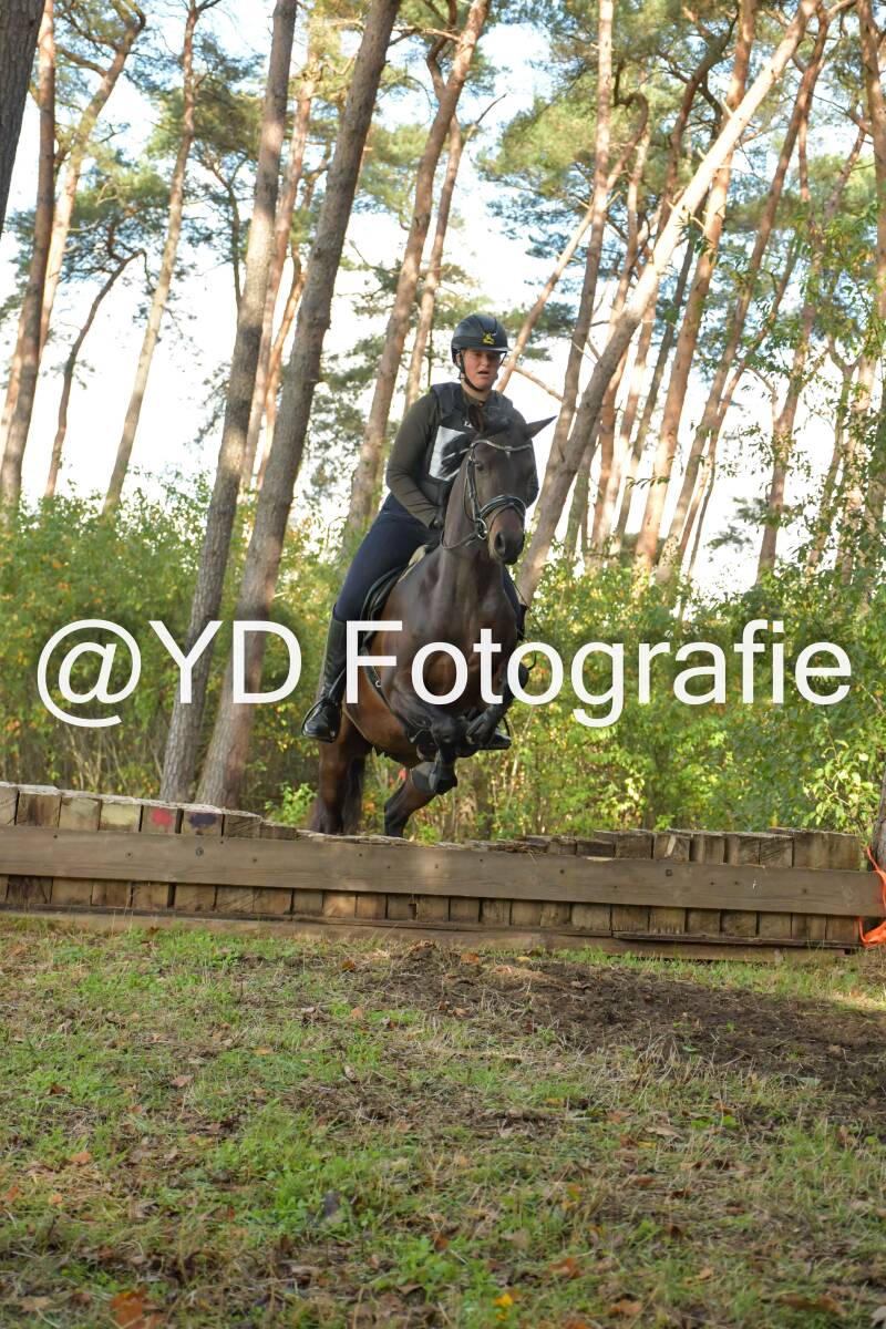eventing-grobbendonk-4531-standard.jpg