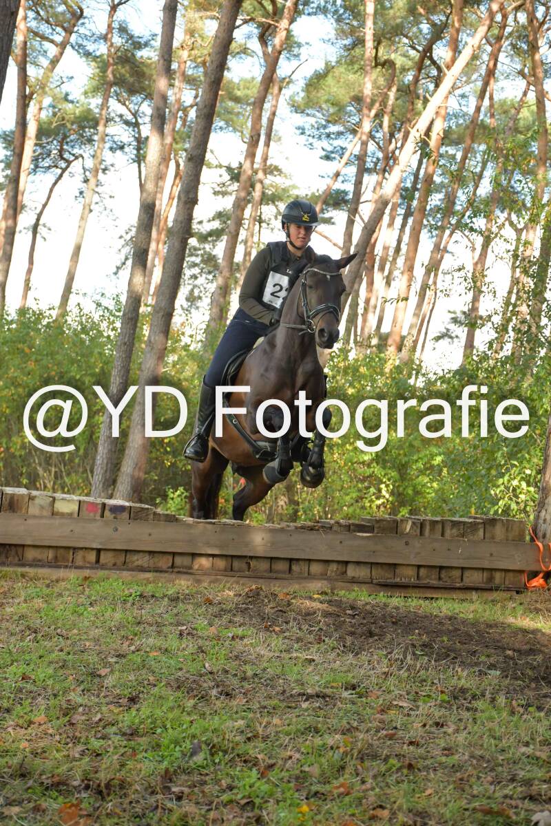 eventing-grobbendonk-4532-standard.jpg
