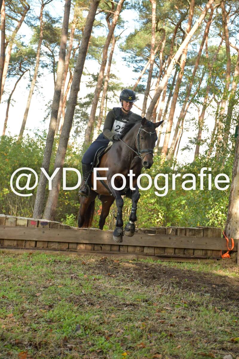 eventing-grobbendonk-4533-standard.jpg