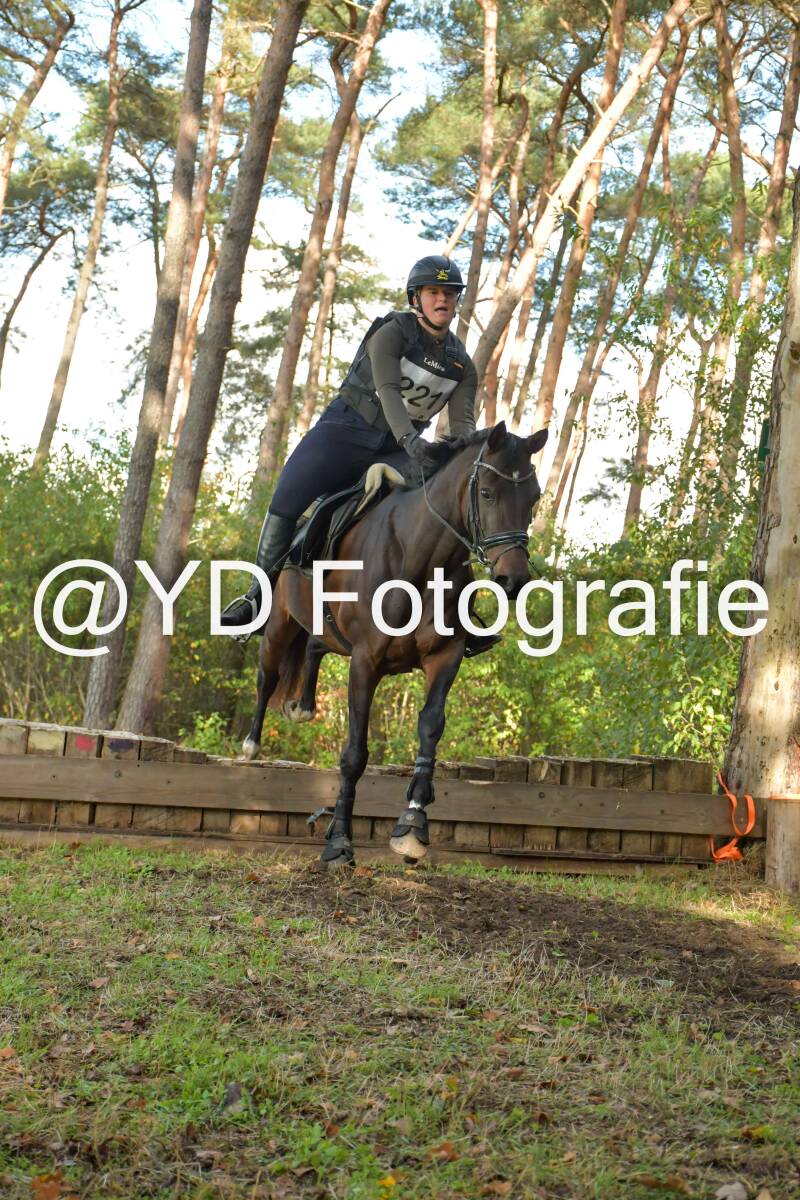 eventing-grobbendonk-4534-standard.jpg