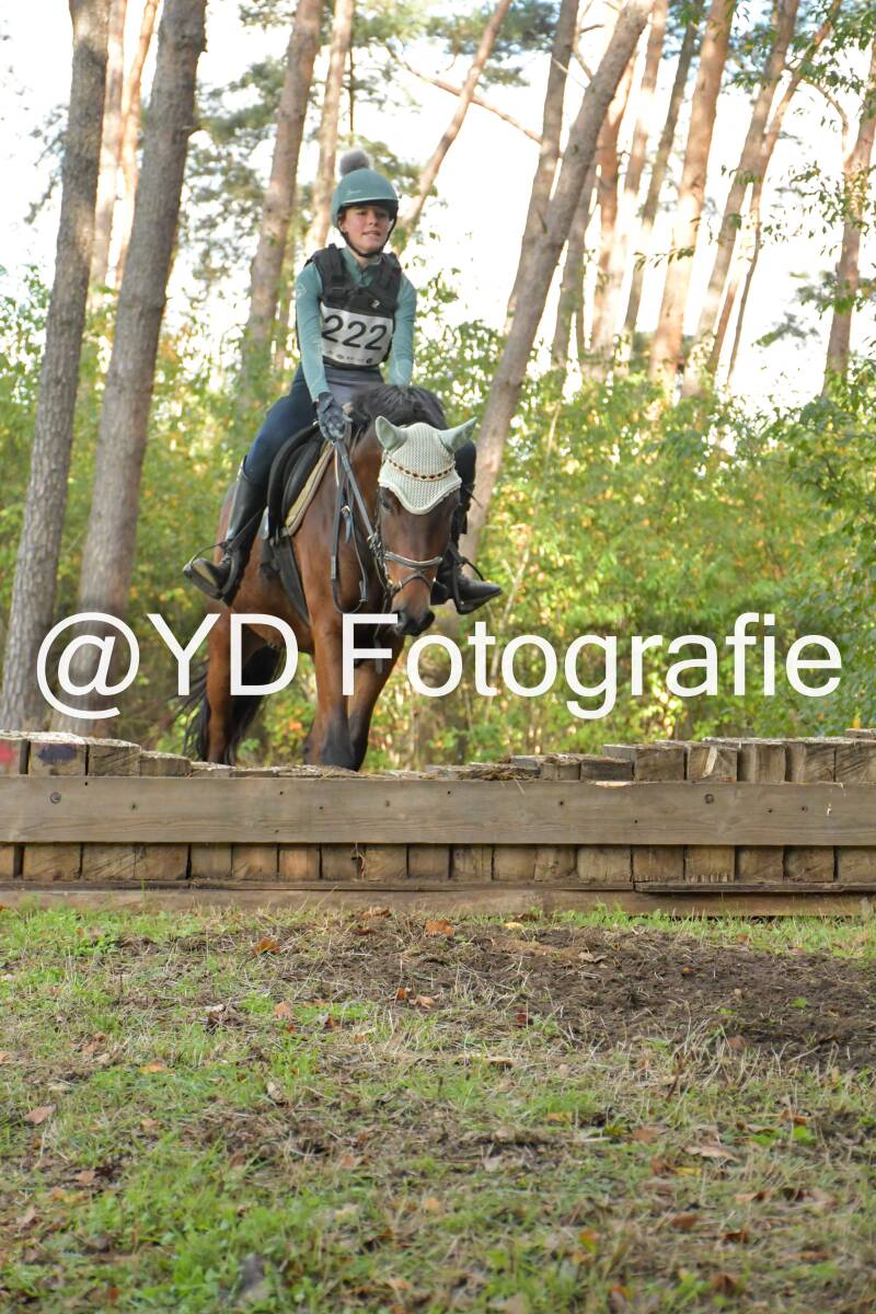 eventing-grobbendonk-4535-standard.jpg