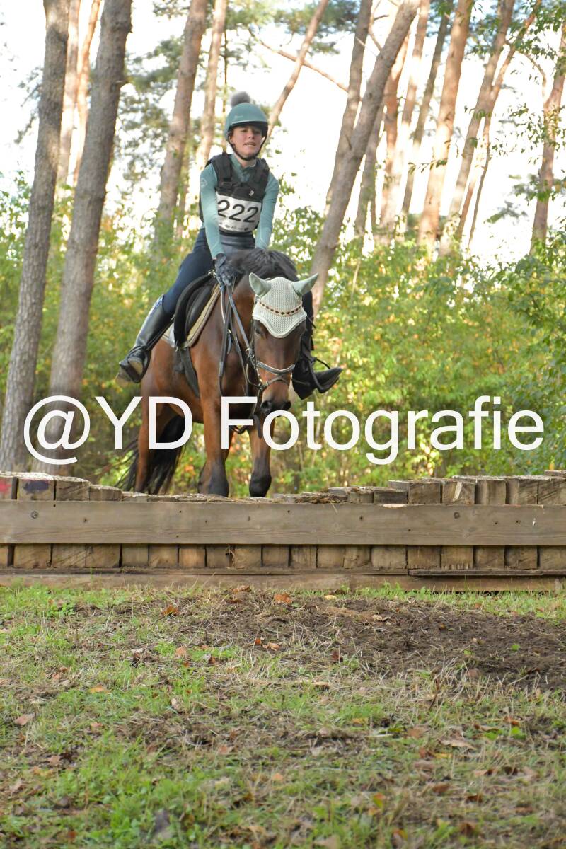 eventing-grobbendonk-4536-standard.jpg