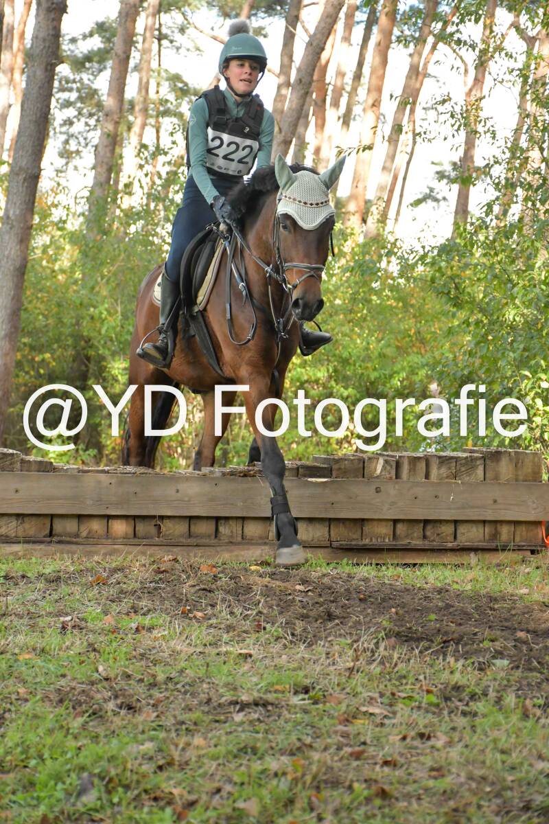 eventing-grobbendonk-4537-standard.jpg