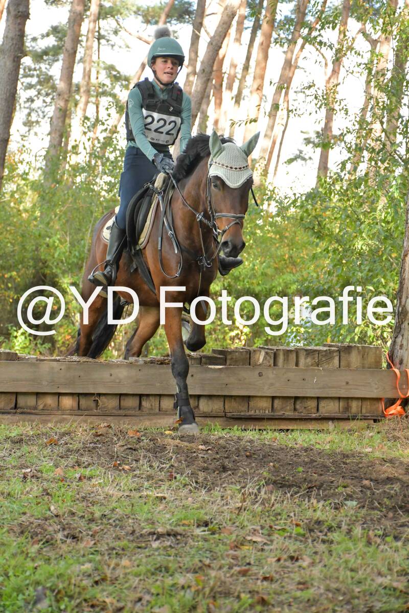 eventing-grobbendonk-4538-standard.jpg