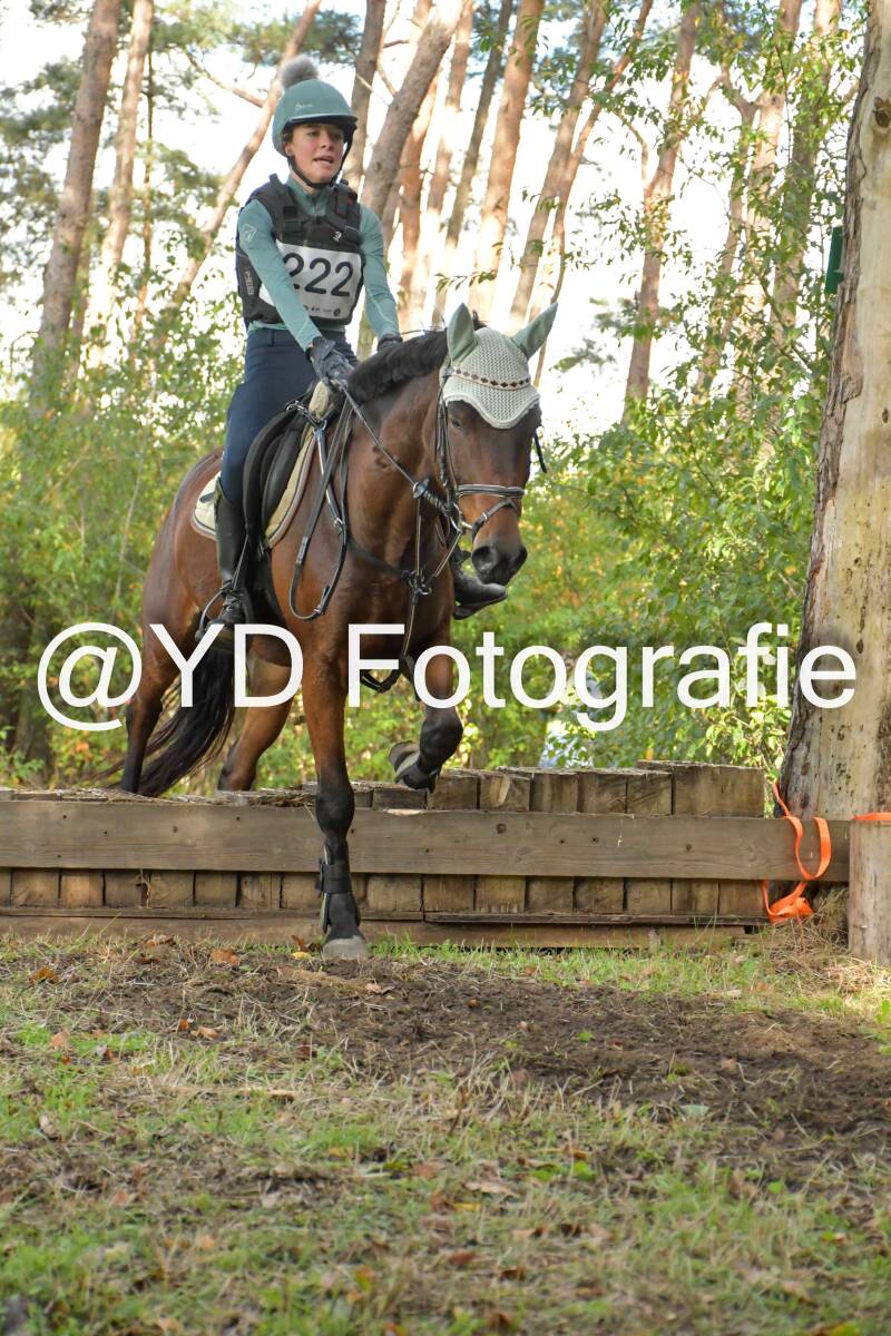 eventing-grobbendonk-4539-standard.jpg