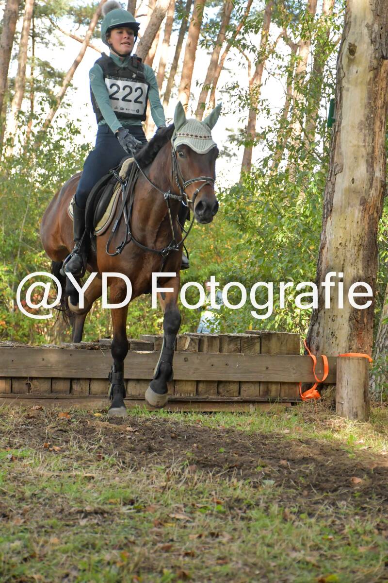eventing-grobbendonk-4540-standard.jpg