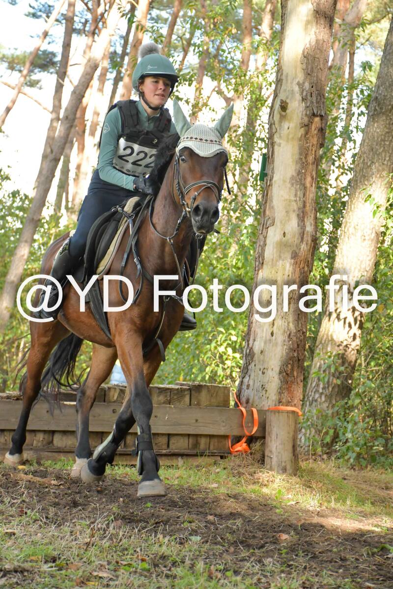 eventing-grobbendonk-4541-standard.jpg