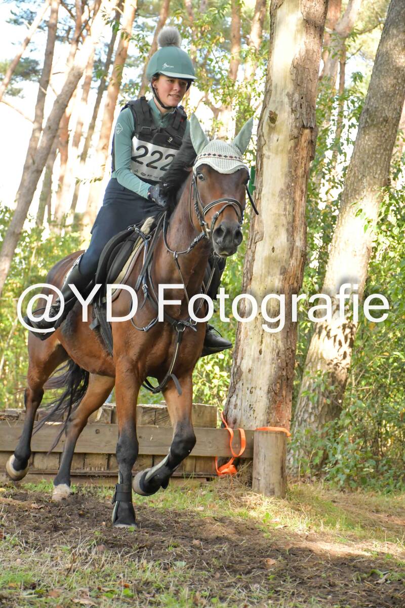 eventing-grobbendonk-4542-standard.jpg