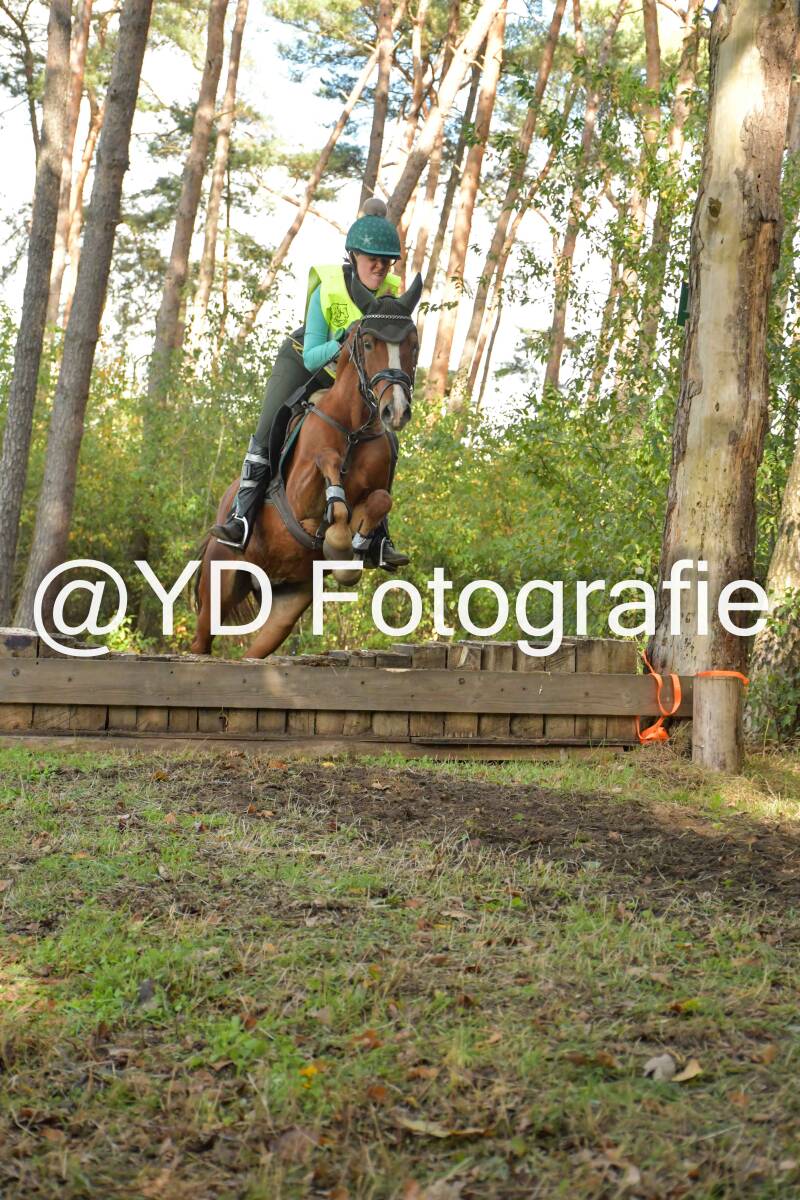 eventing-grobbendonk-4543-standard.jpg