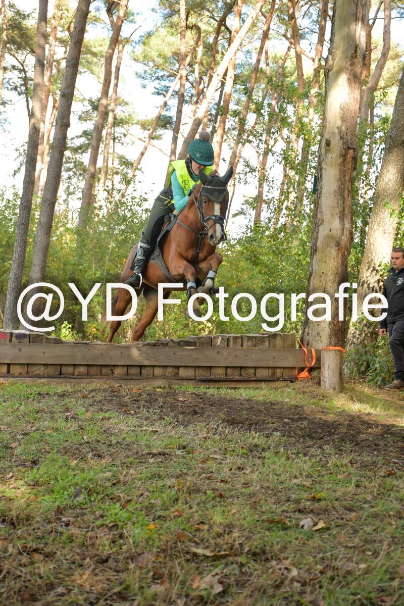 eventing-grobbendonk-4544-standard.jpg