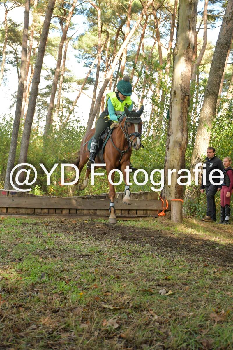 eventing-grobbendonk-4545-standard.jpg