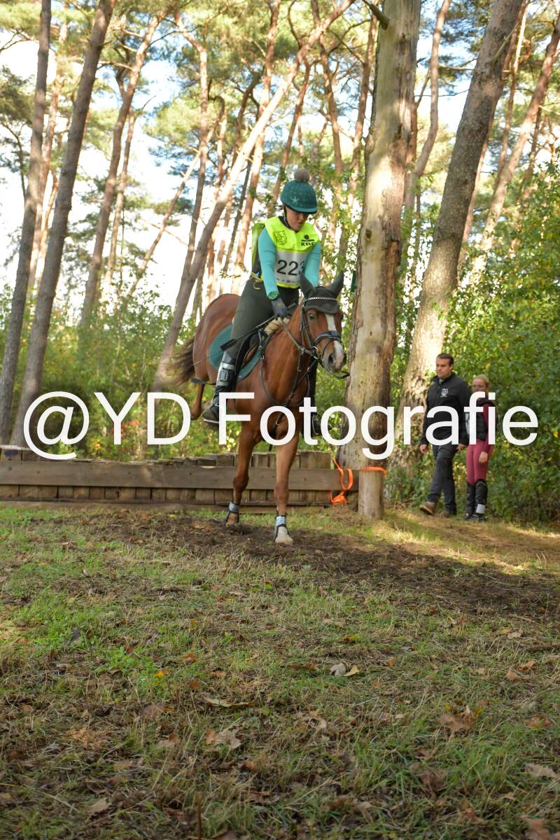 eventing-grobbendonk-4546-standard.jpg