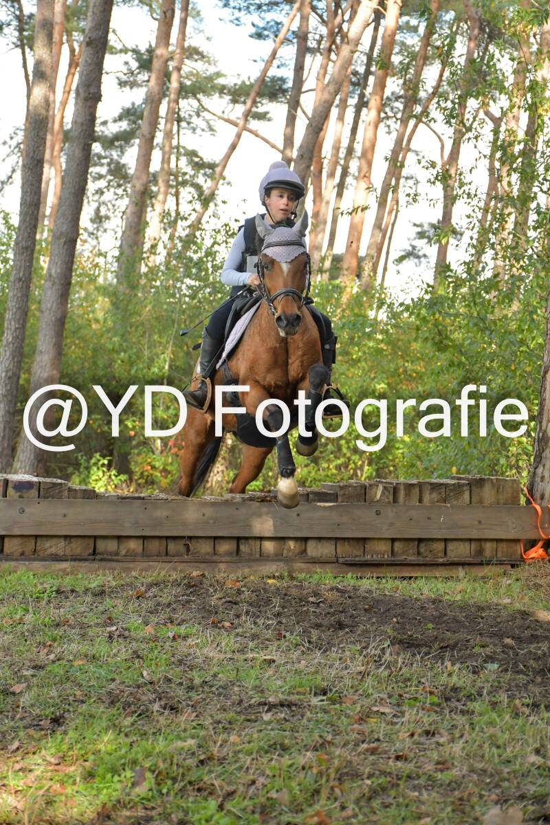 eventing-grobbendonk-4547-standard.jpg