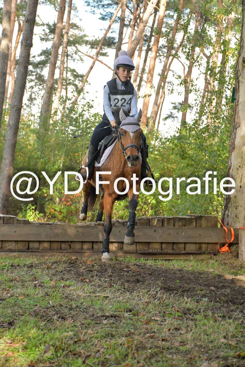 eventing-grobbendonk-4548-standard.jpg