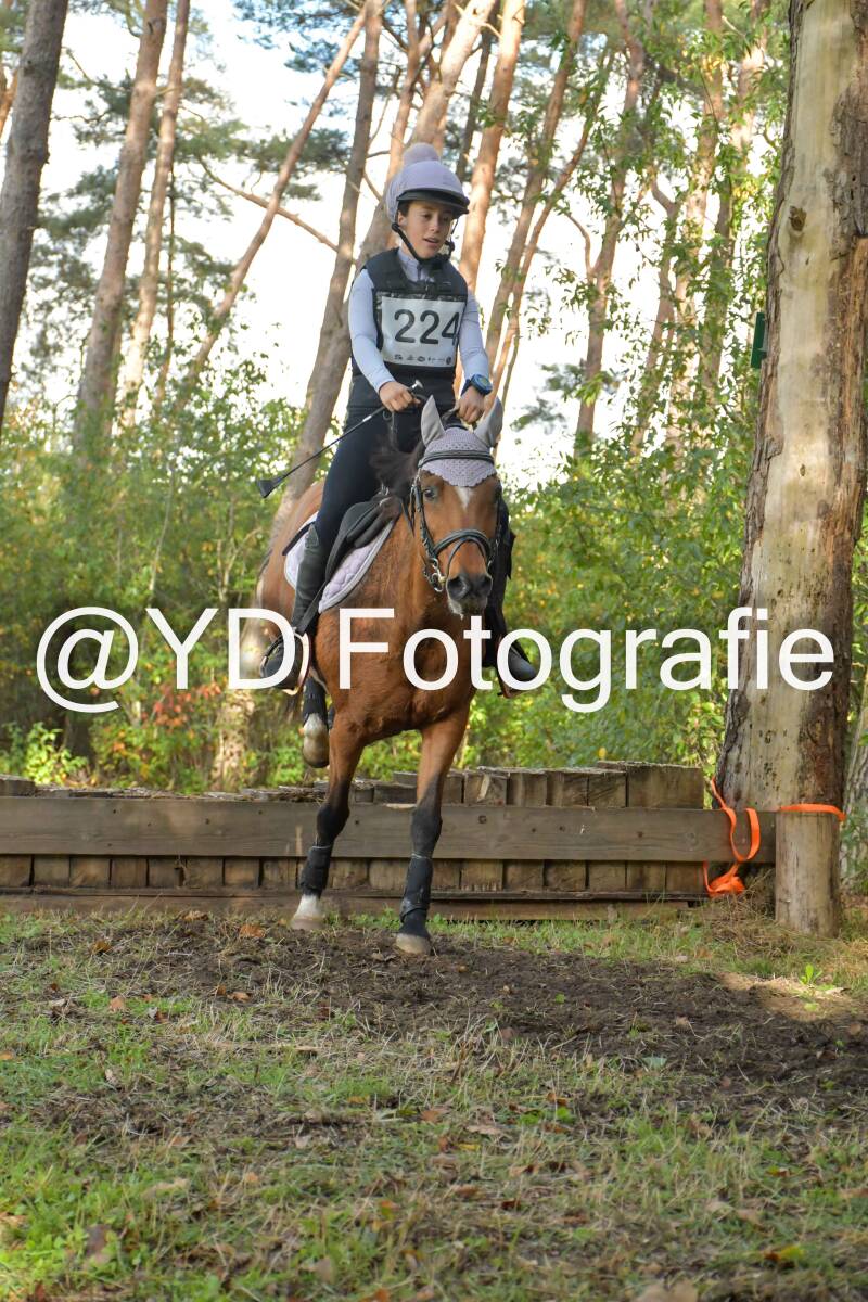 eventing-grobbendonk-4549-standard.jpg