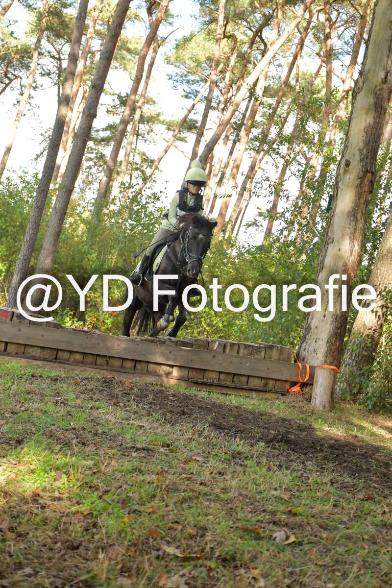 eventing-grobbendonk-4550-standard.jpg