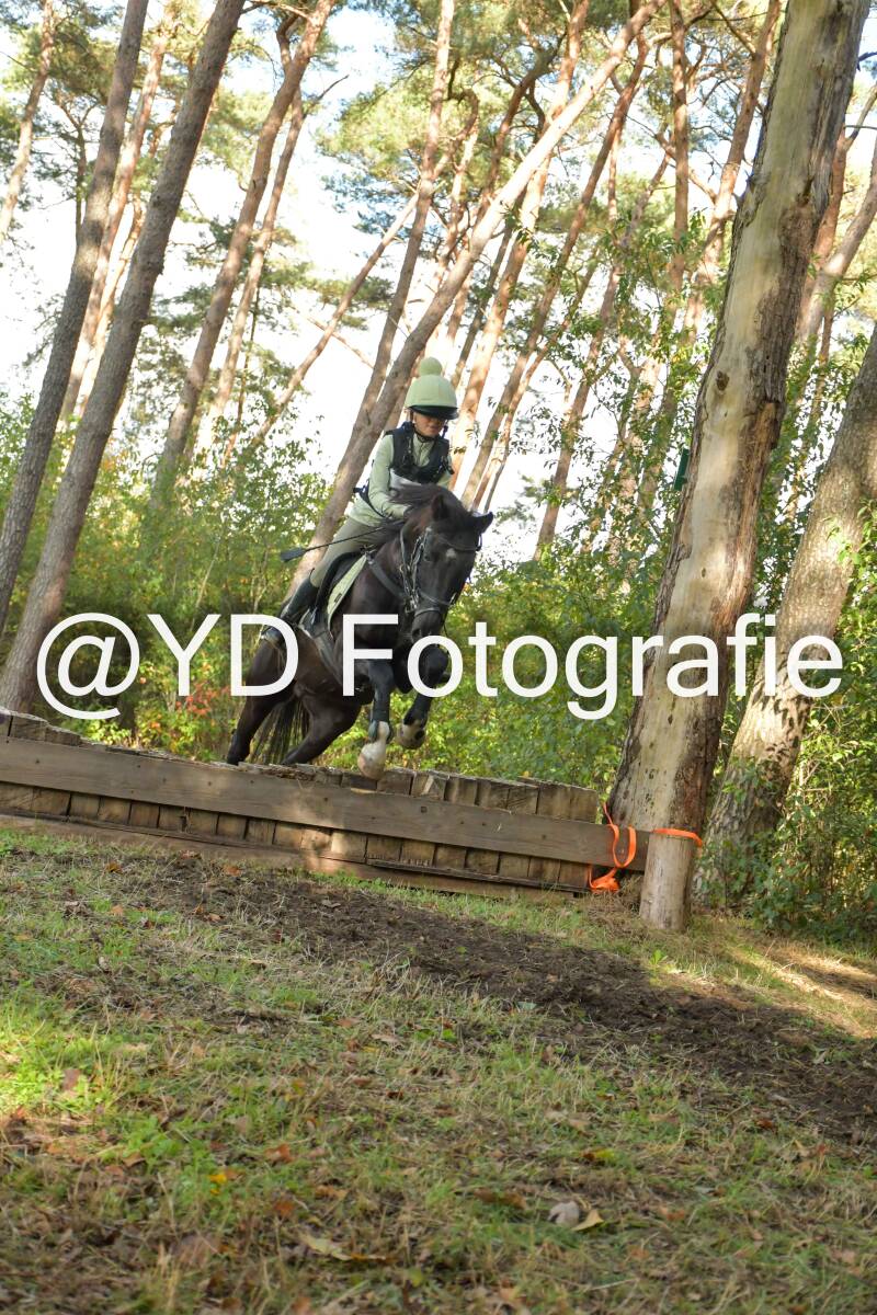eventing-grobbendonk-4551-standard.jpg