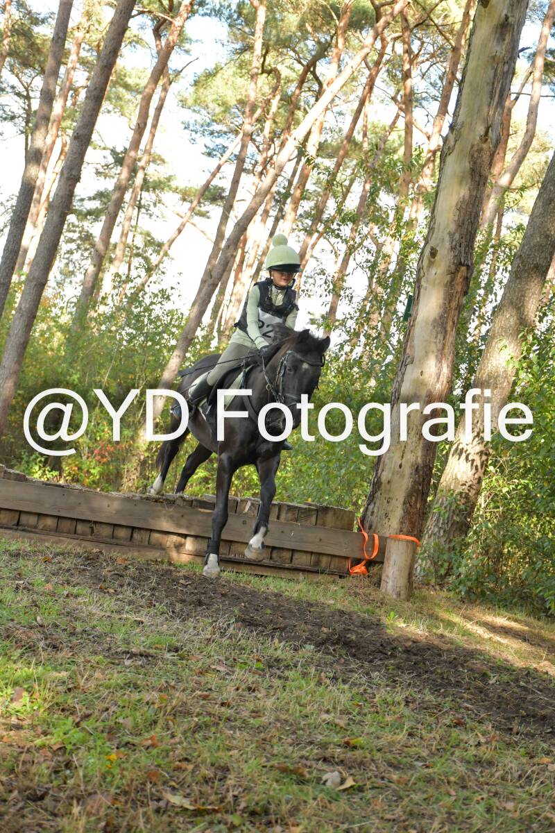 eventing-grobbendonk-4552-standard.jpg