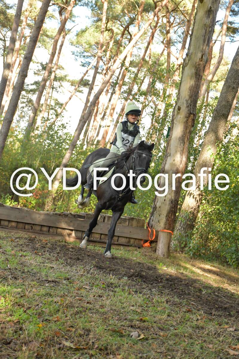 eventing-grobbendonk-4553-standard.jpg