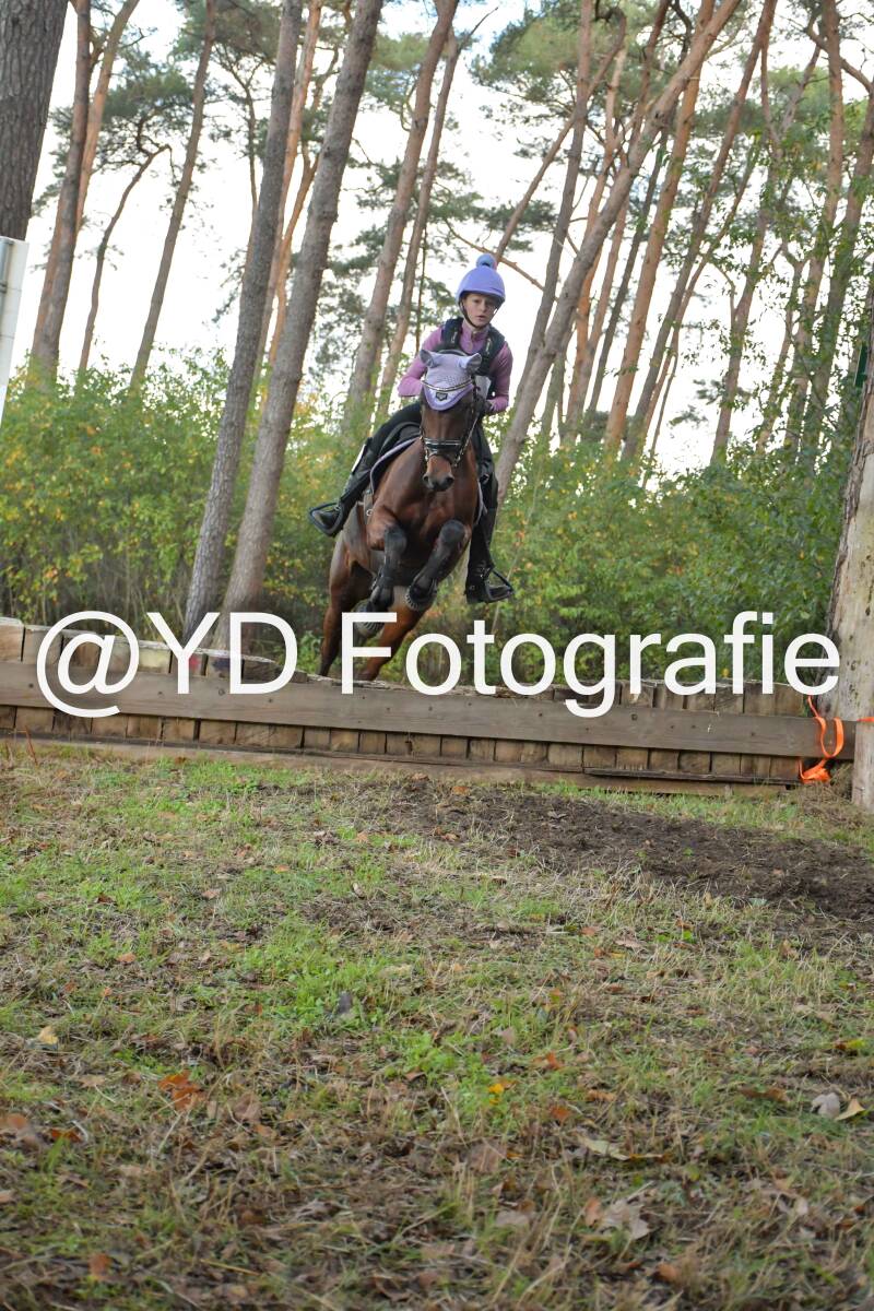 eventing-grobbendonk-4554-standard.jpg