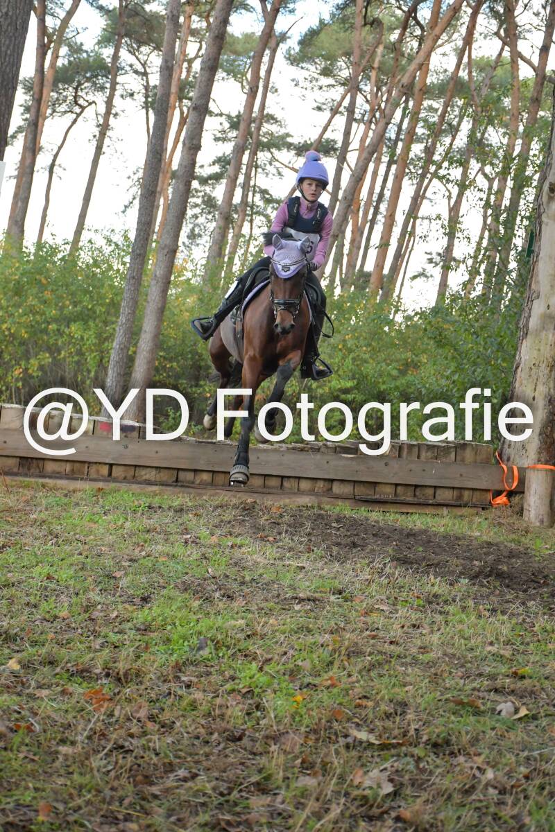 eventing-grobbendonk-4555-standard.jpg