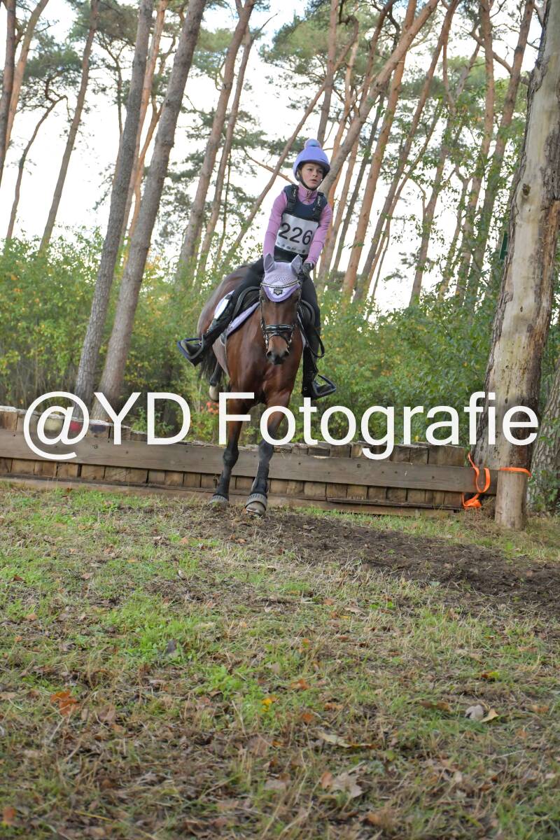 eventing-grobbendonk-4556-standard.jpg