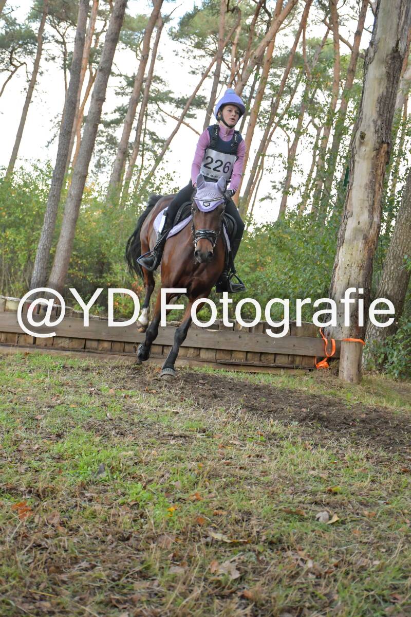 eventing-grobbendonk-4557-standard.jpg
