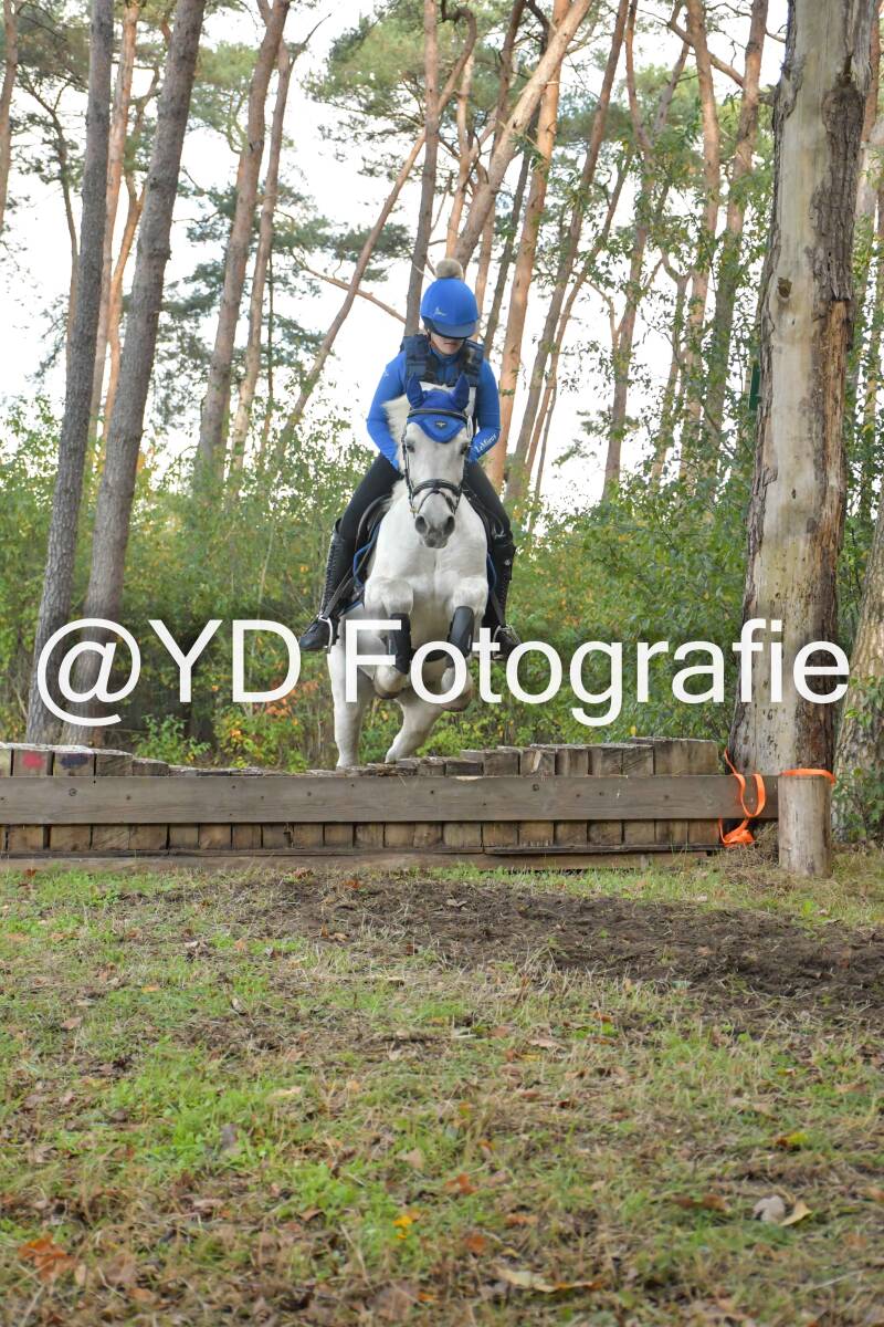 eventing-grobbendonk-4558-standard.jpg