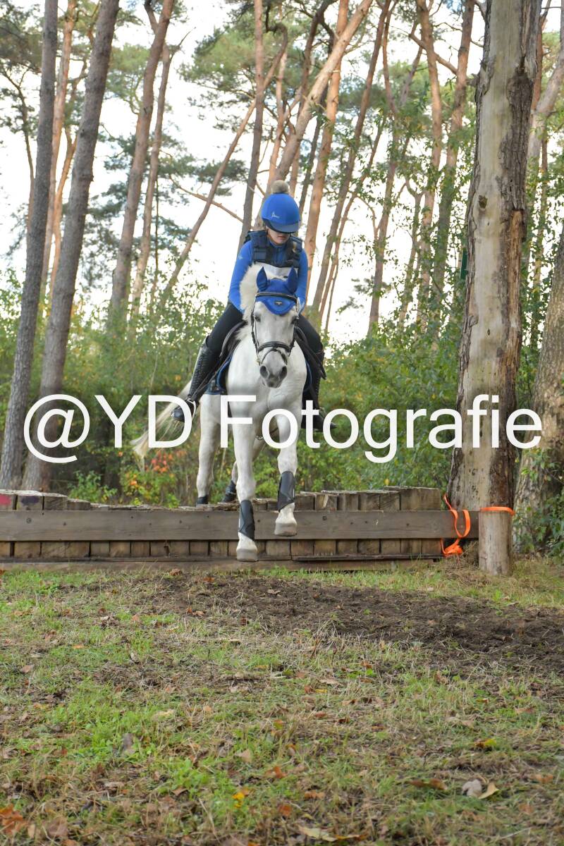 eventing-grobbendonk-4559-standard.jpg