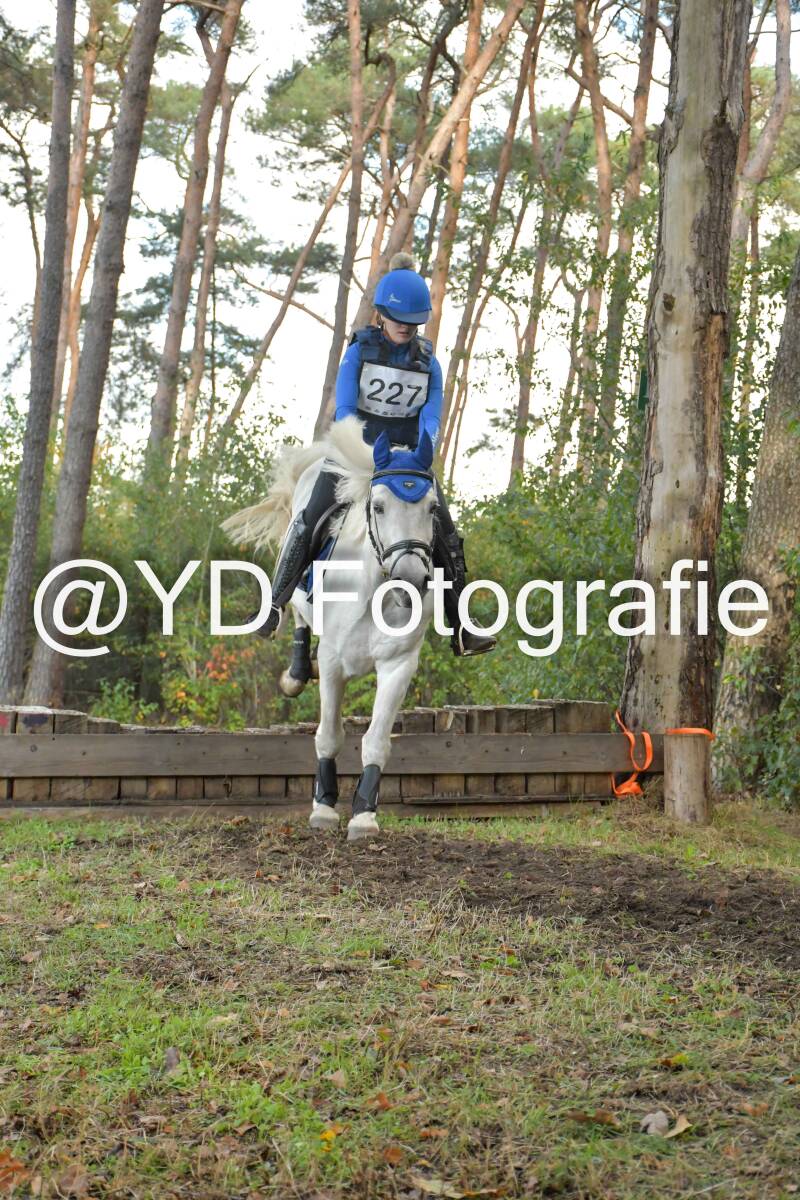 eventing-grobbendonk-4560-standard.jpg