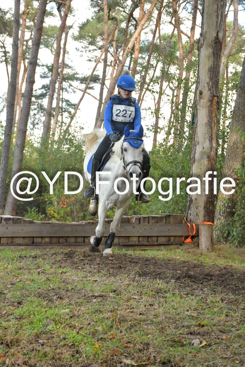 eventing-grobbendonk-4561-standard.jpg