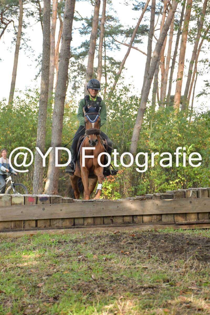 eventing-grobbendonk-4562-standard.jpg